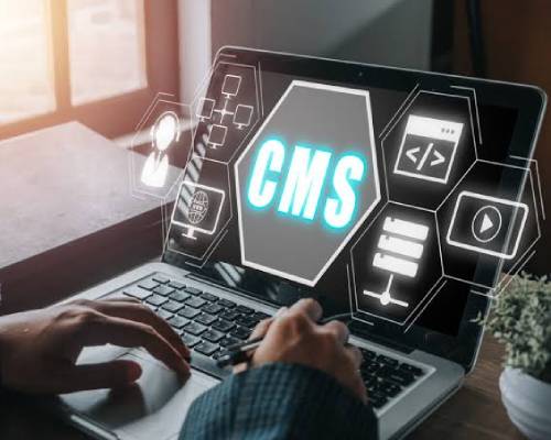 CMS Websites