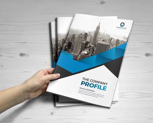 Company Profile